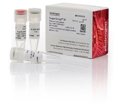 Invitrogen™ SuperScript™ III First-Strand Synthesis SuperMix for qRT-PCR