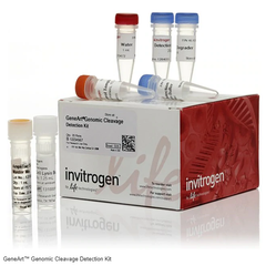 Invitrogen™ GeneArt™ Genomic Cleavage Detection Kit, A24372