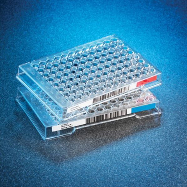 Sensititre™ Gram Negative GNX2F AST Plate SKN Trading Laos