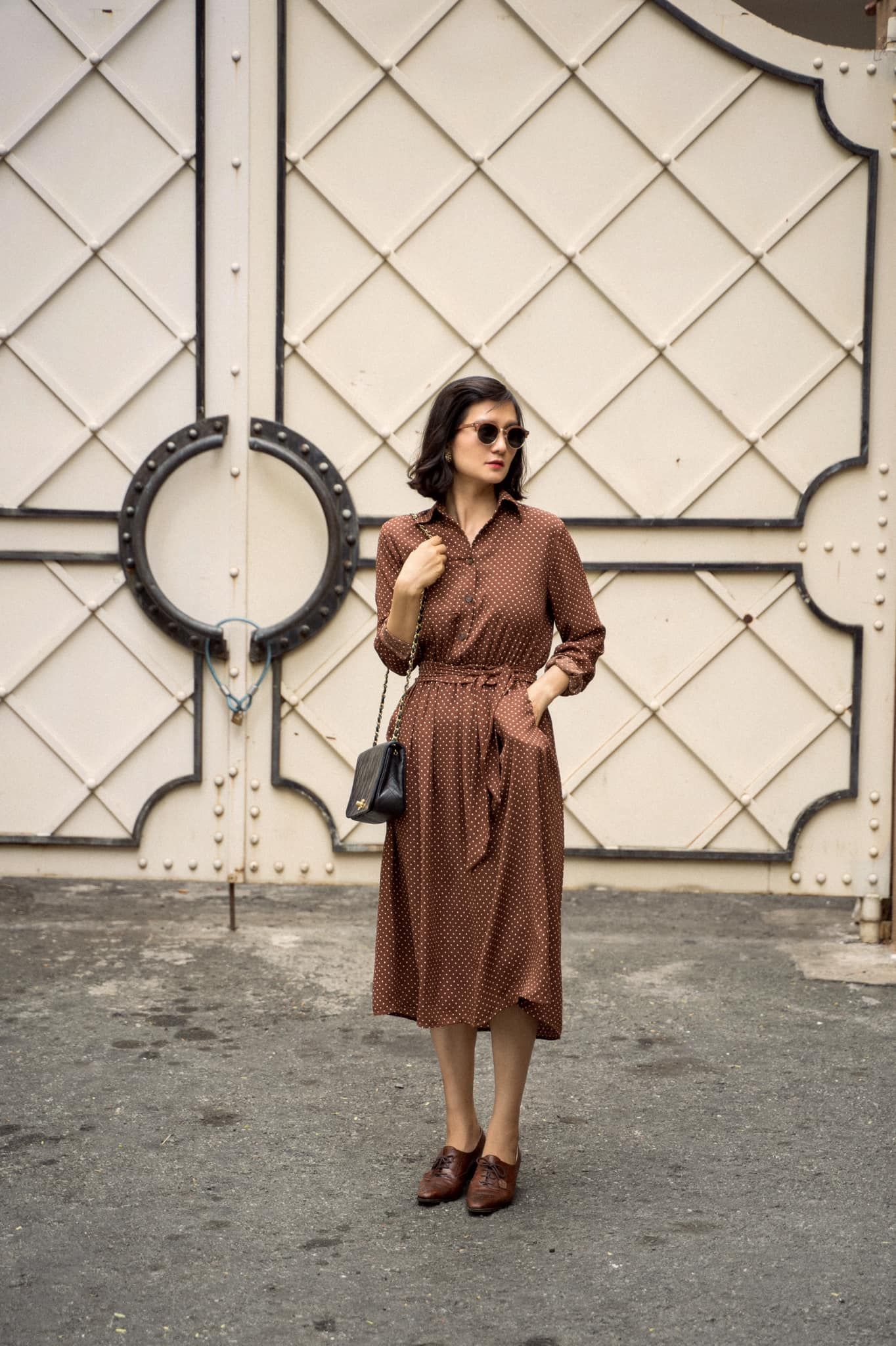 Avianna Dress - Đầm sơ mi chấm bi nâu D188