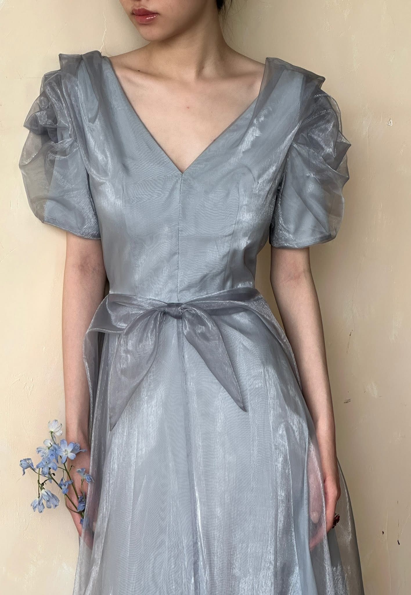 Helena Dress - Đầm Hoa Hồng Tay Phồng Q1013