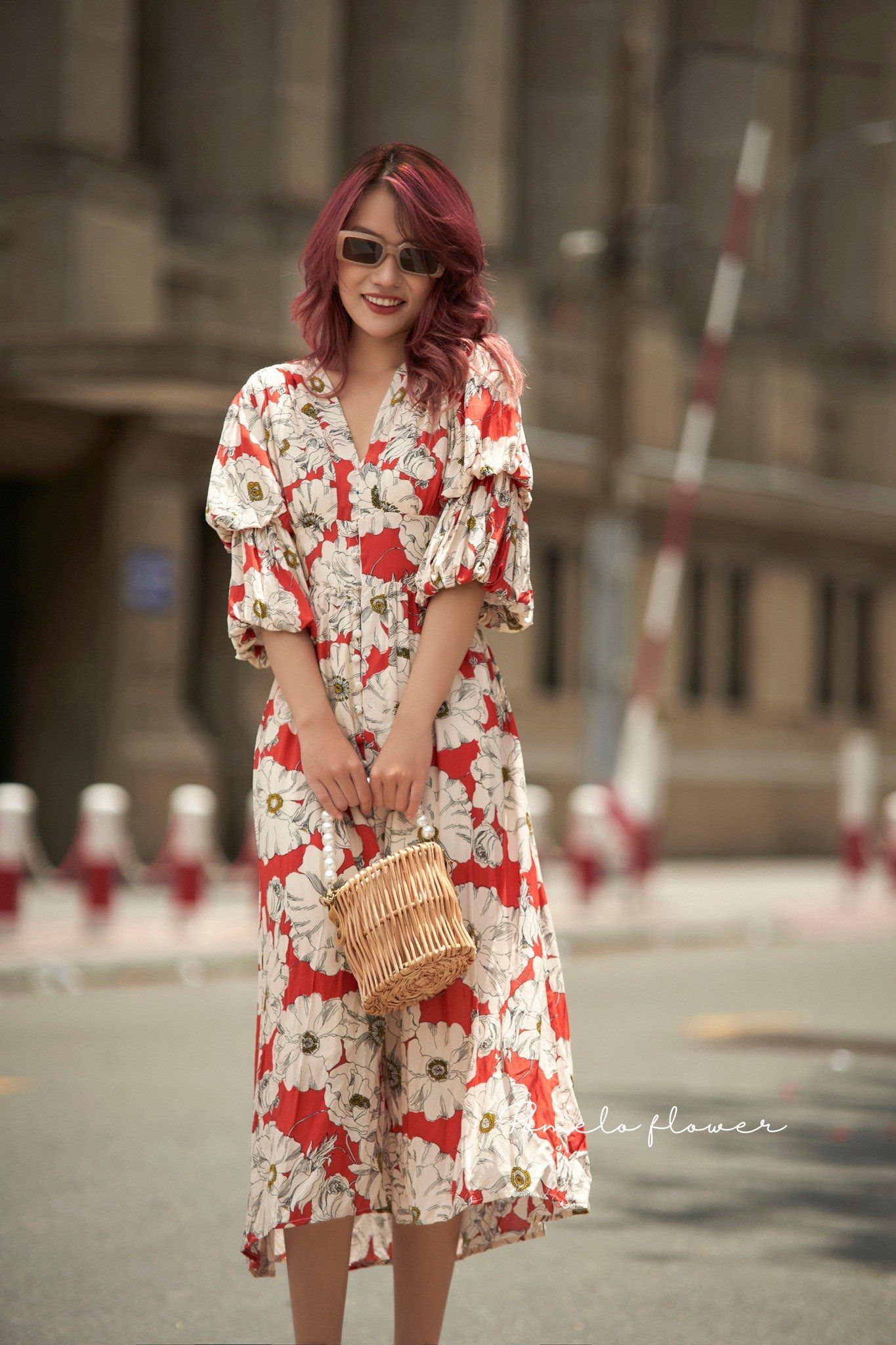 Haisley Dress - Đầm cổ V tay phồng - D662