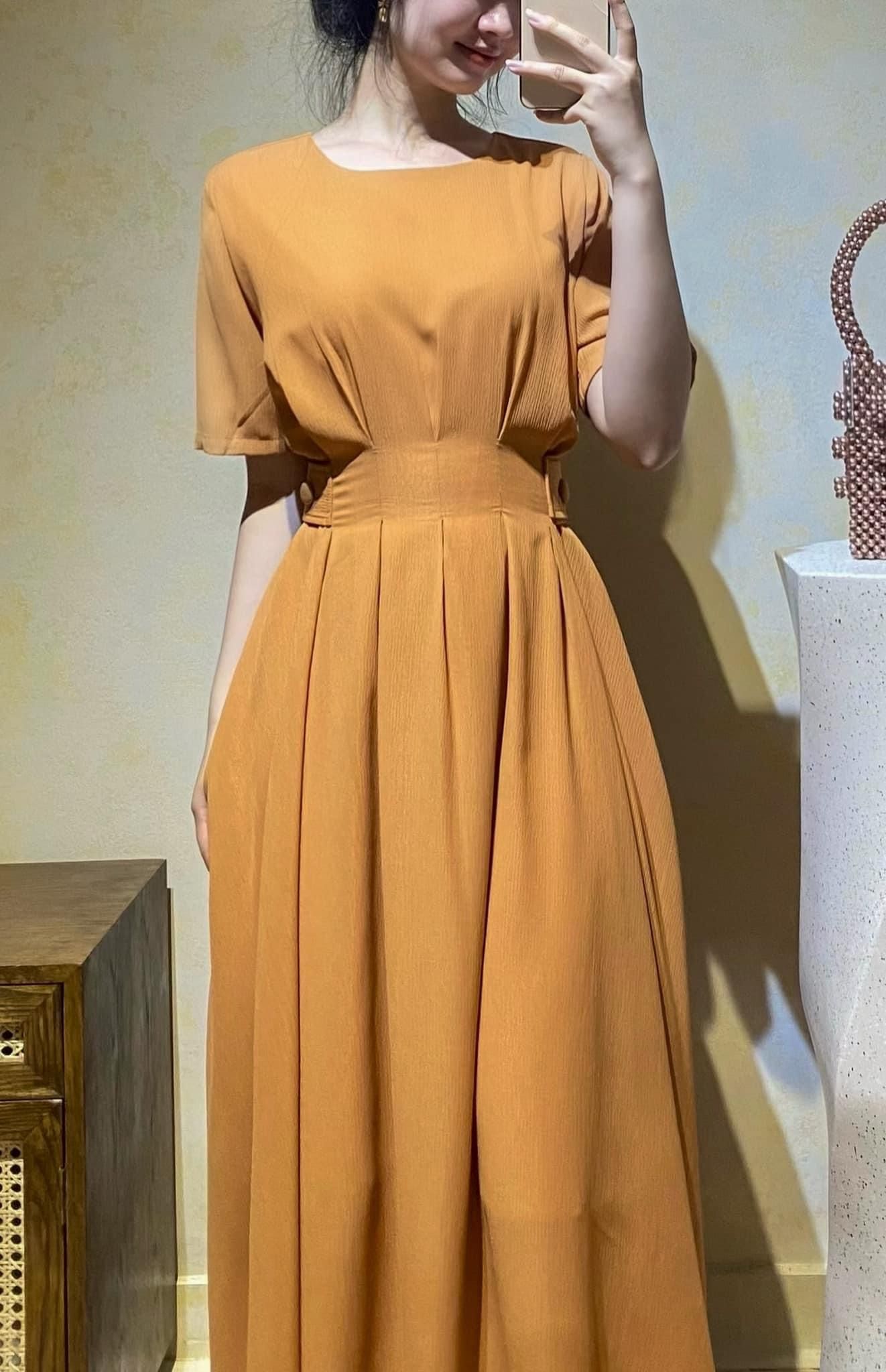 Eloise Dress - Đầm Tay Ngắn Xếp Ly Eo D938