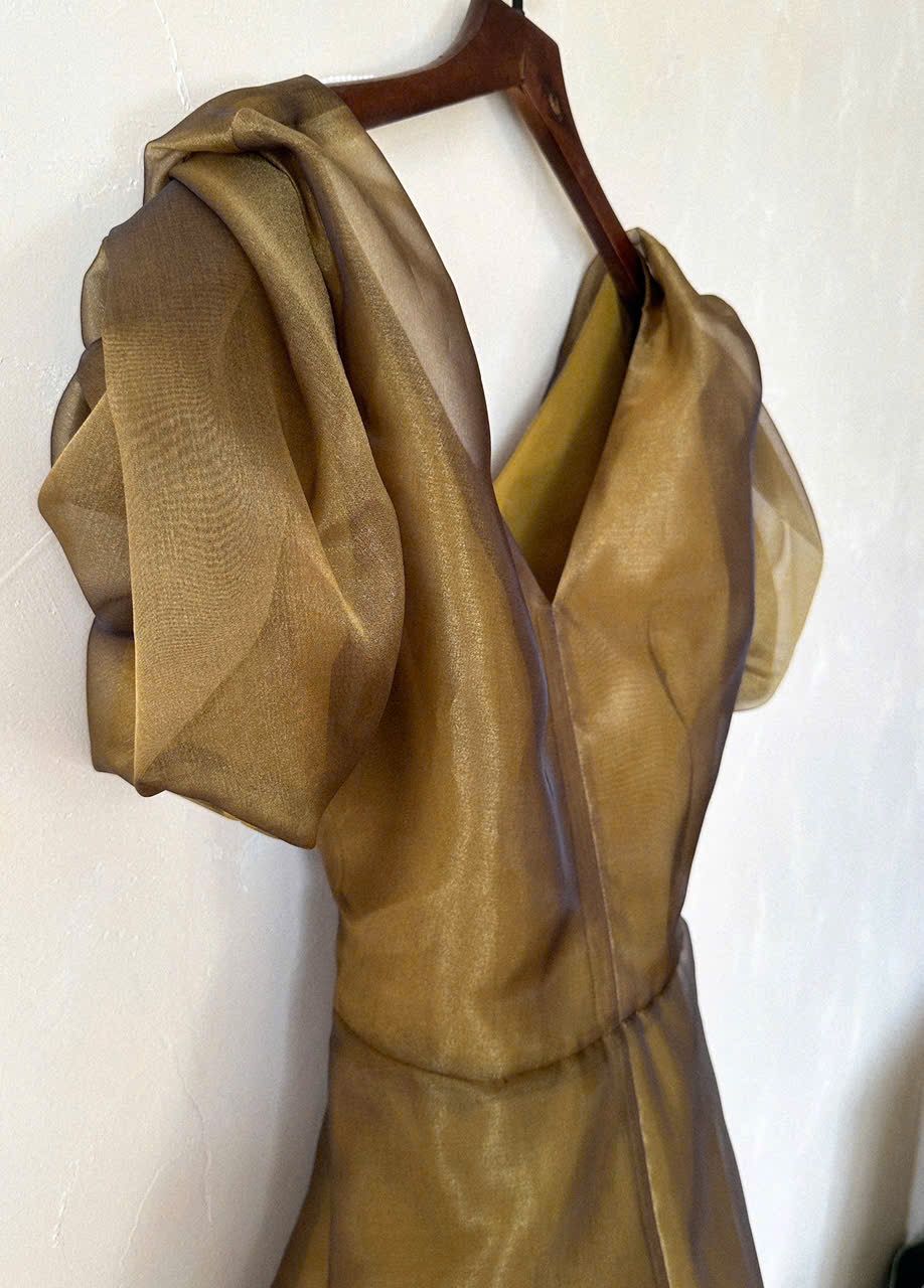 Helena Dress - Đầm Hoa Hồng Tay Phồng Q1013