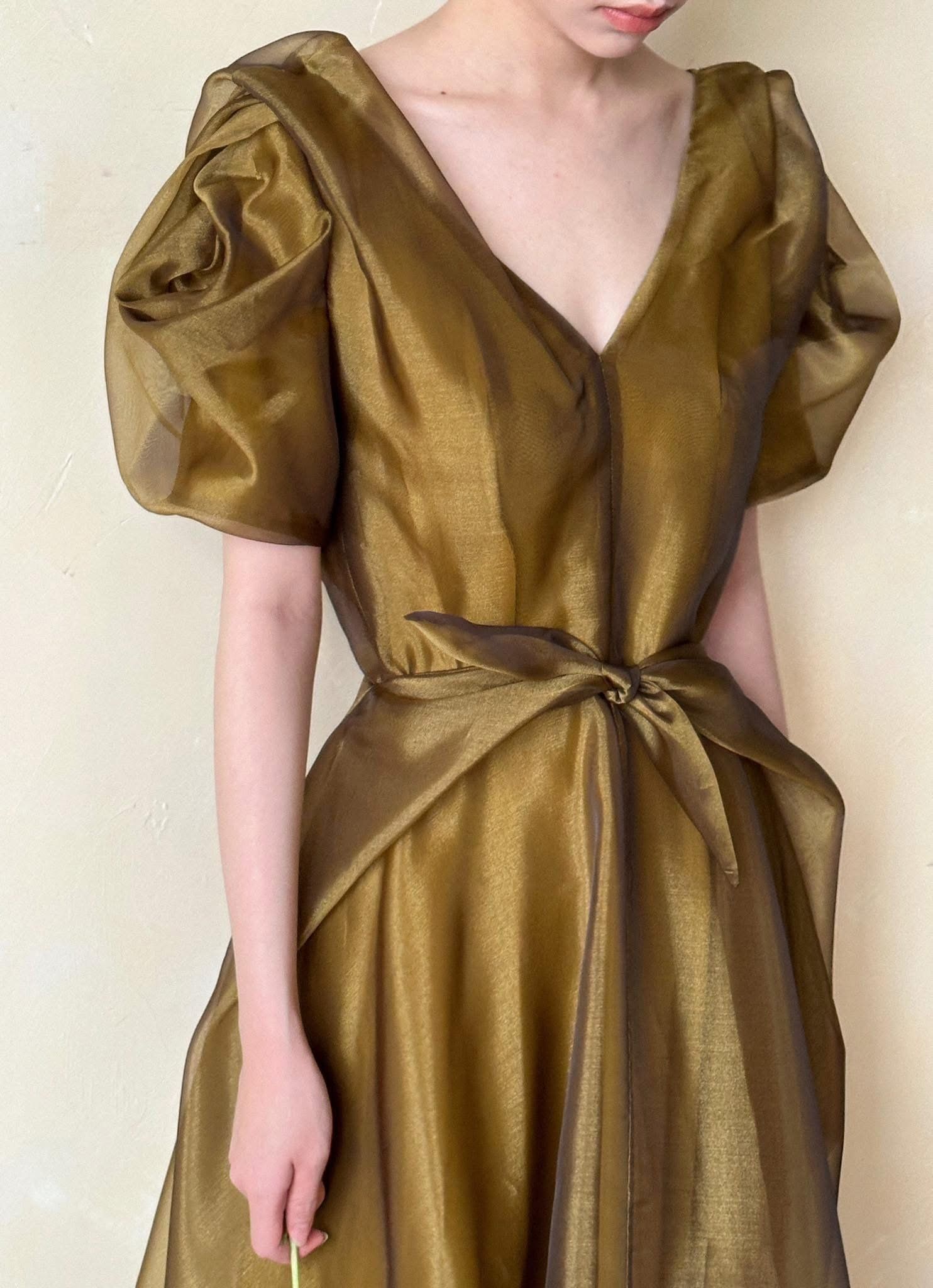 Helena Dress - Đầm Hoa Hồng Tay Phồng Q1013