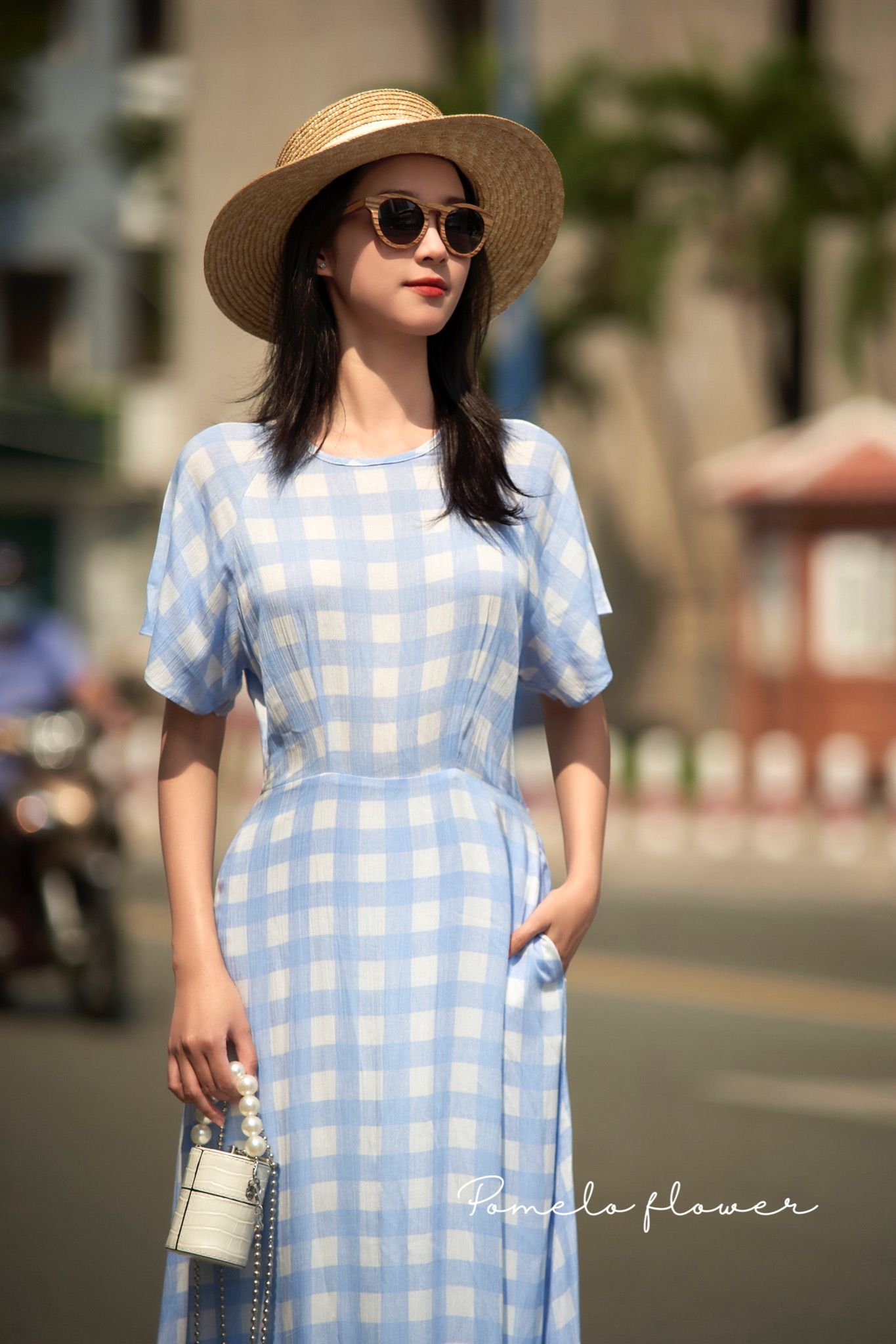 Alani Dress- Đầm ngắn tay caro trắng xanh D278