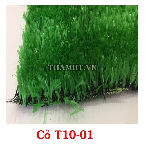 Thảm Cỏ Màu Xanh Tươi T 10-01