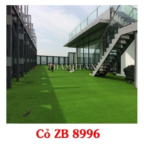 Thảm Cỏ Sân Vườn Zb 8996