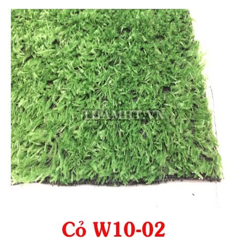 Thảm Cỏ Giá Siêu Rẻ W 10-02