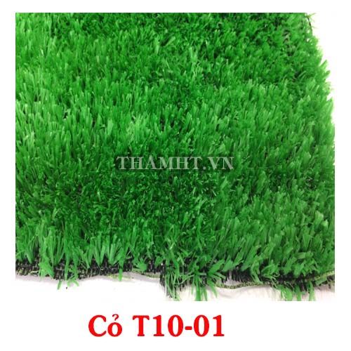 Thảm Cỏ Màu Xanh Tươi T 10-01