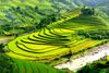 10 DAY 9 NIGHT HANOI NINH BINH SAPA & HALONG BAY TOUR/ 2024-2025