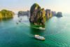 10 DAY 9 NIGHT HANOI NINH BINH SAPA & HALONG BAY TOUR/ 2024-2025