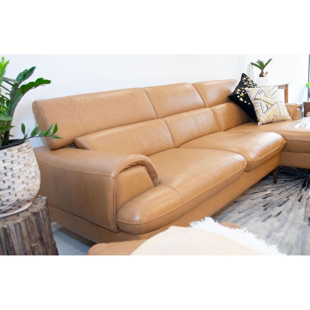 SOFA DA BÒ Ý - BUZZIE CAMEL