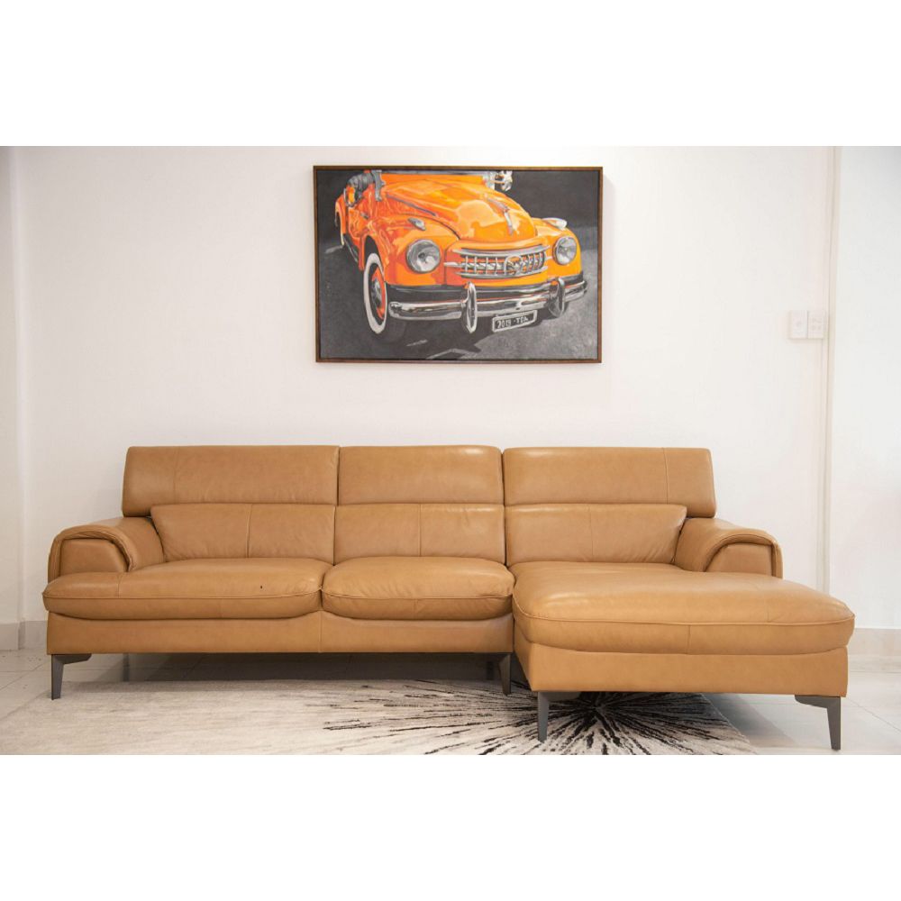 SOFA DA BÒ Ý - BUZZIE CAMEL