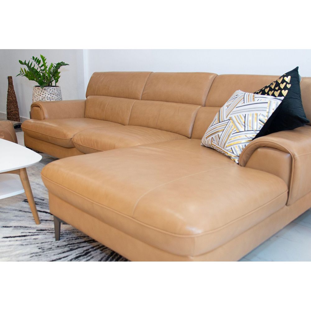 SOFA DA BÒ Ý - BUZZIE CAMEL