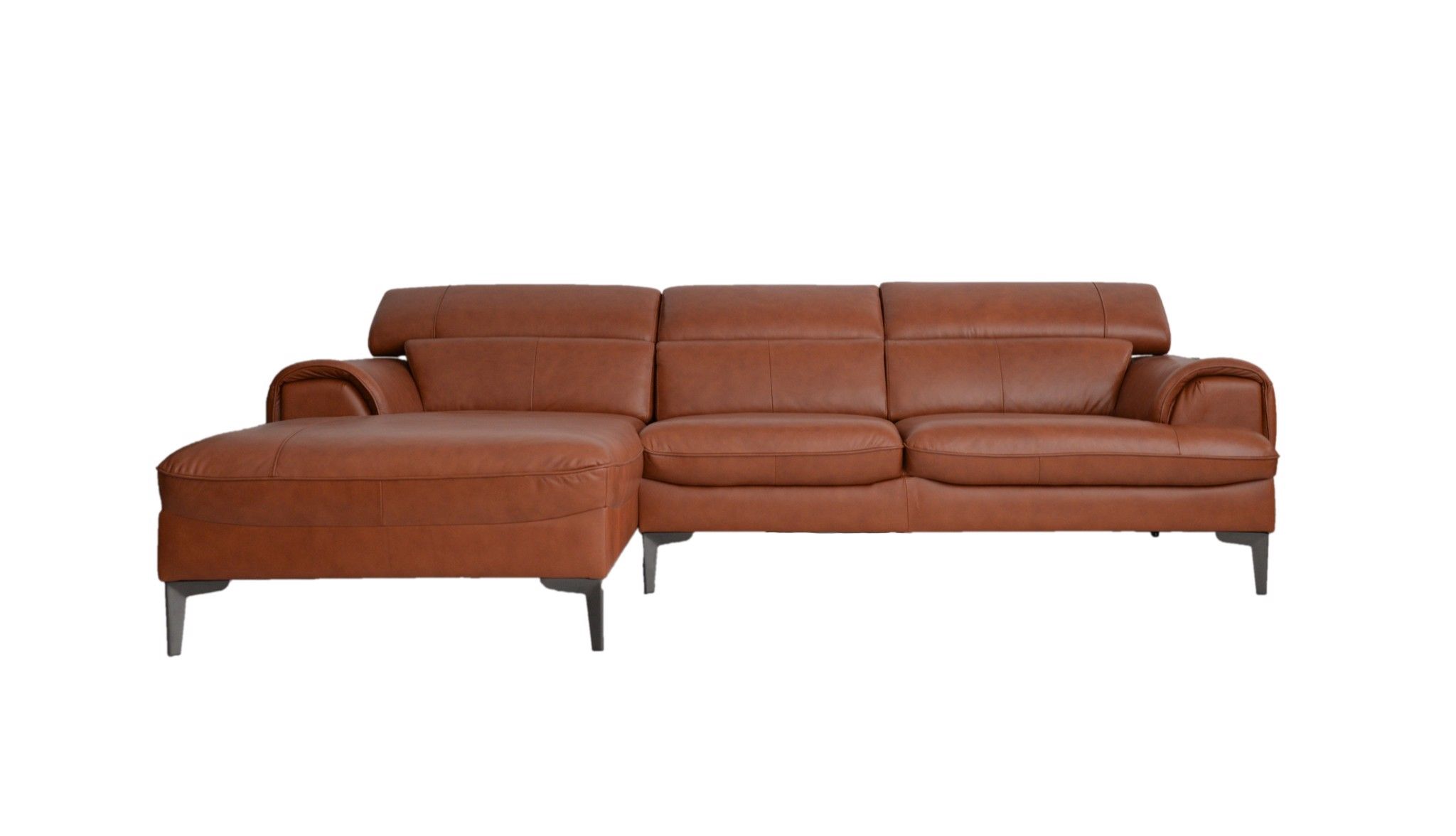 SOFA DA BÒ Ý - BUZZIE CAMEL