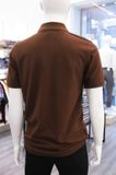 Polo SANLANO CVC 24 Nâu