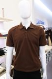 Polo SANLANO CVC 24 Nâu