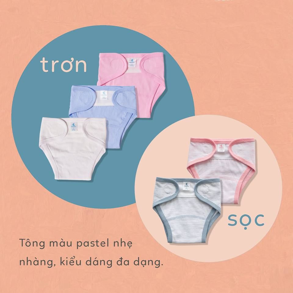 Tả sọc Mio