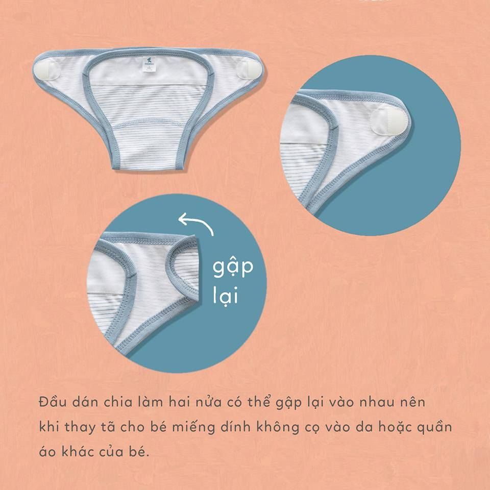 Tả sọc Mio