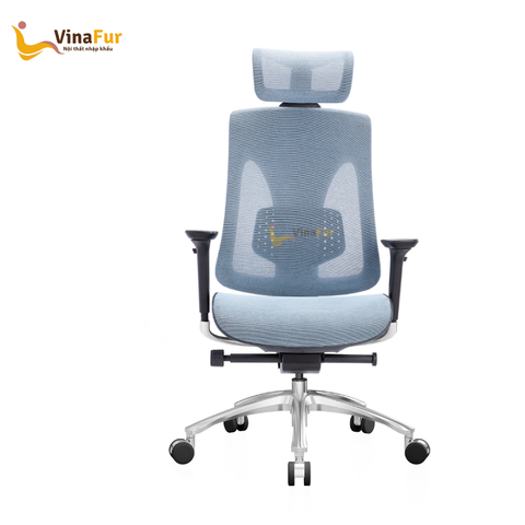 Ghế công thái học Ergonomic 811A