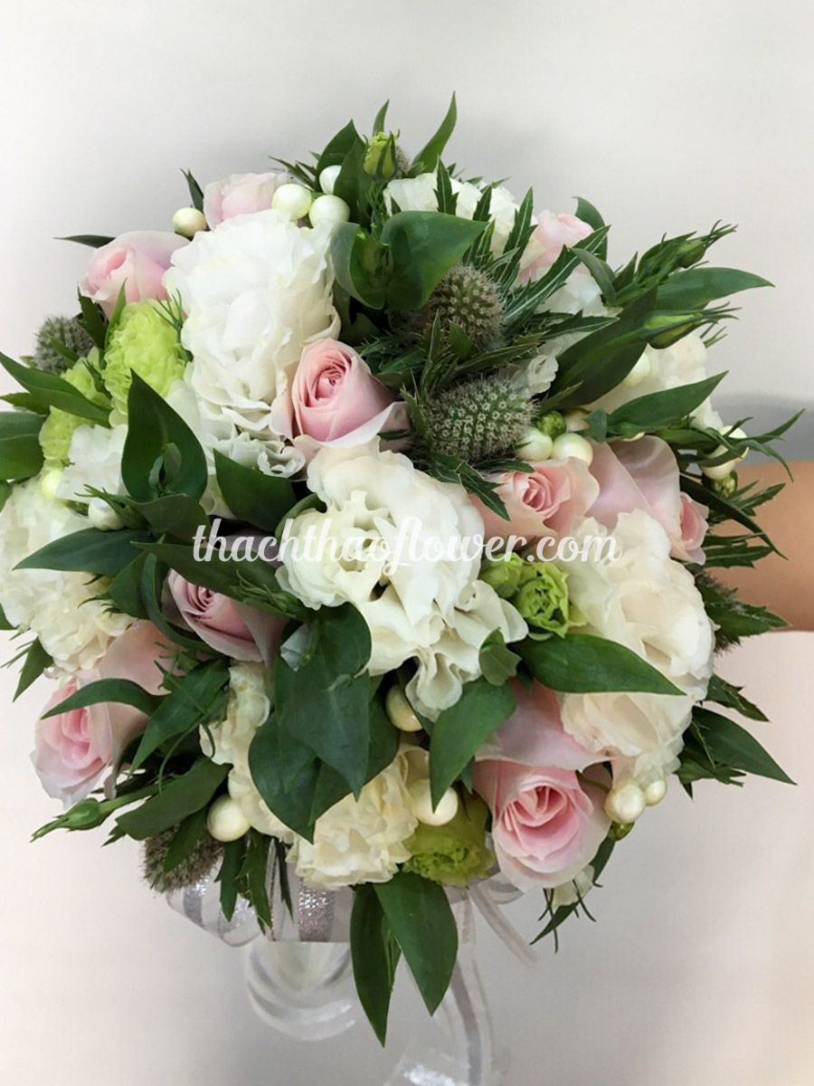 CD009