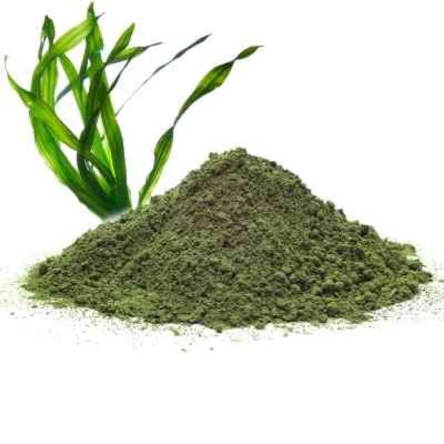 Bột rong biển sấy lạnh nguyên chất