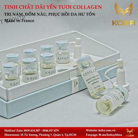  Tinh Chất Dãi Yến Tươi Collagen Ashlia (Pháp) 