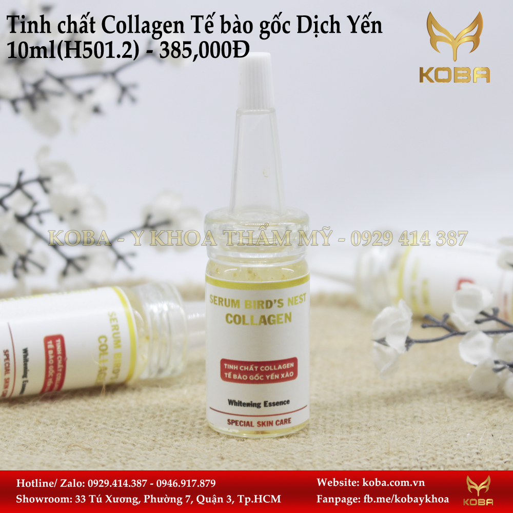 Tinh chất Collagen Tế bào gốc Dịch Yến