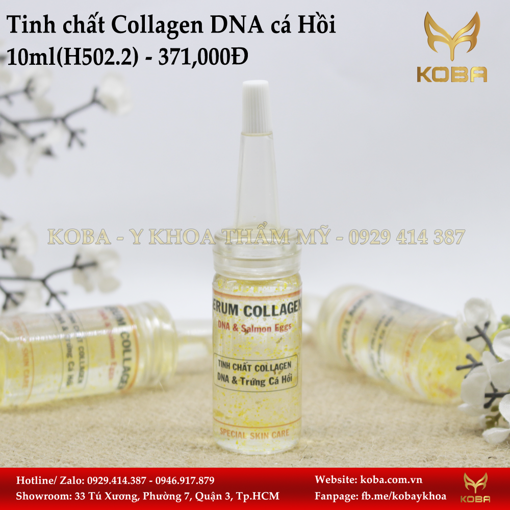 Tinh chất Collagen DNA cá Hồi