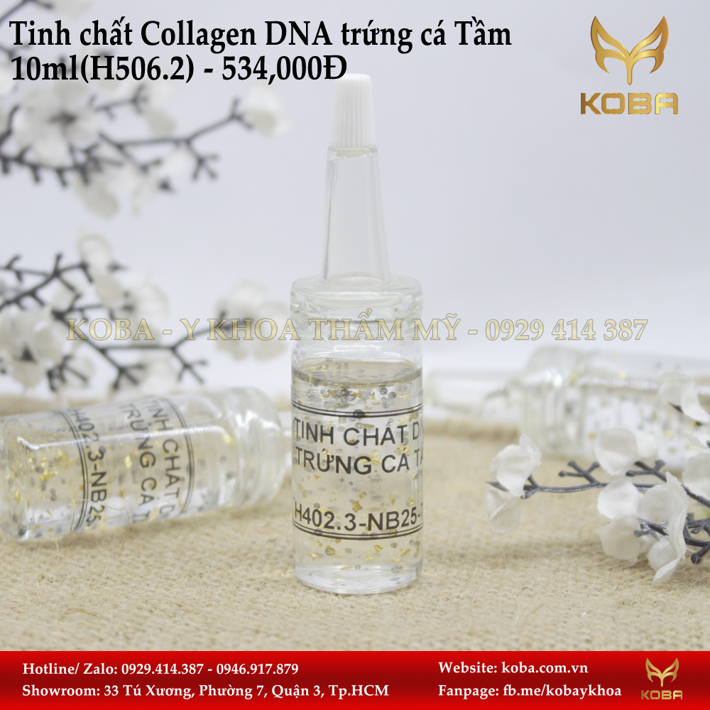 Tinh chất Collagen DNA trứng cá Tầm