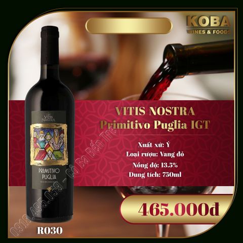  Rượu Vang Đỏ Ý - VITIS NOSTRA Primitivo Puglia IGT - 13.5 độ 