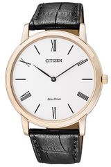 Citizen AR1113-12B