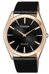 Citizen AR3073-06E