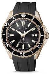 Citizen BN0193-17E