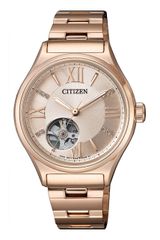 Citizen PC1003-58X