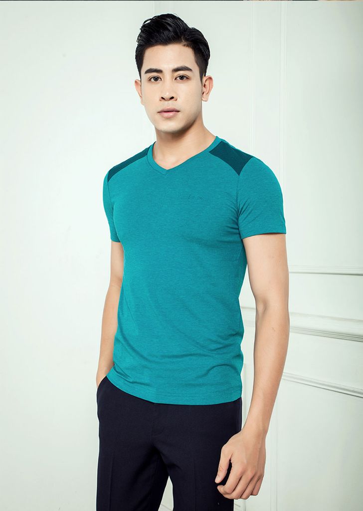 BL - TS01 /Áo Tshirt cổ tim