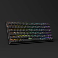 Bàn phím cơ AKKO 3084 v2 RGB- Black (Akko CS Jelly Purple switch)