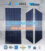 Pin năng lượng mặt trời Hanwha Q Cell Q.PLUS DUO L-G5.2 365W (POLY)