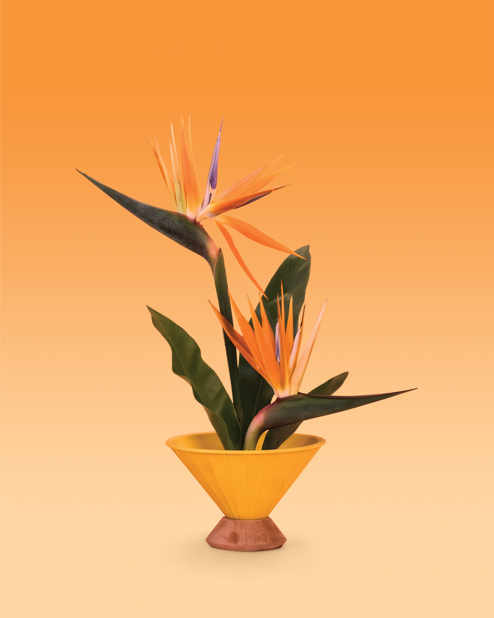 Cone Candle Hà Nội - Nghệ