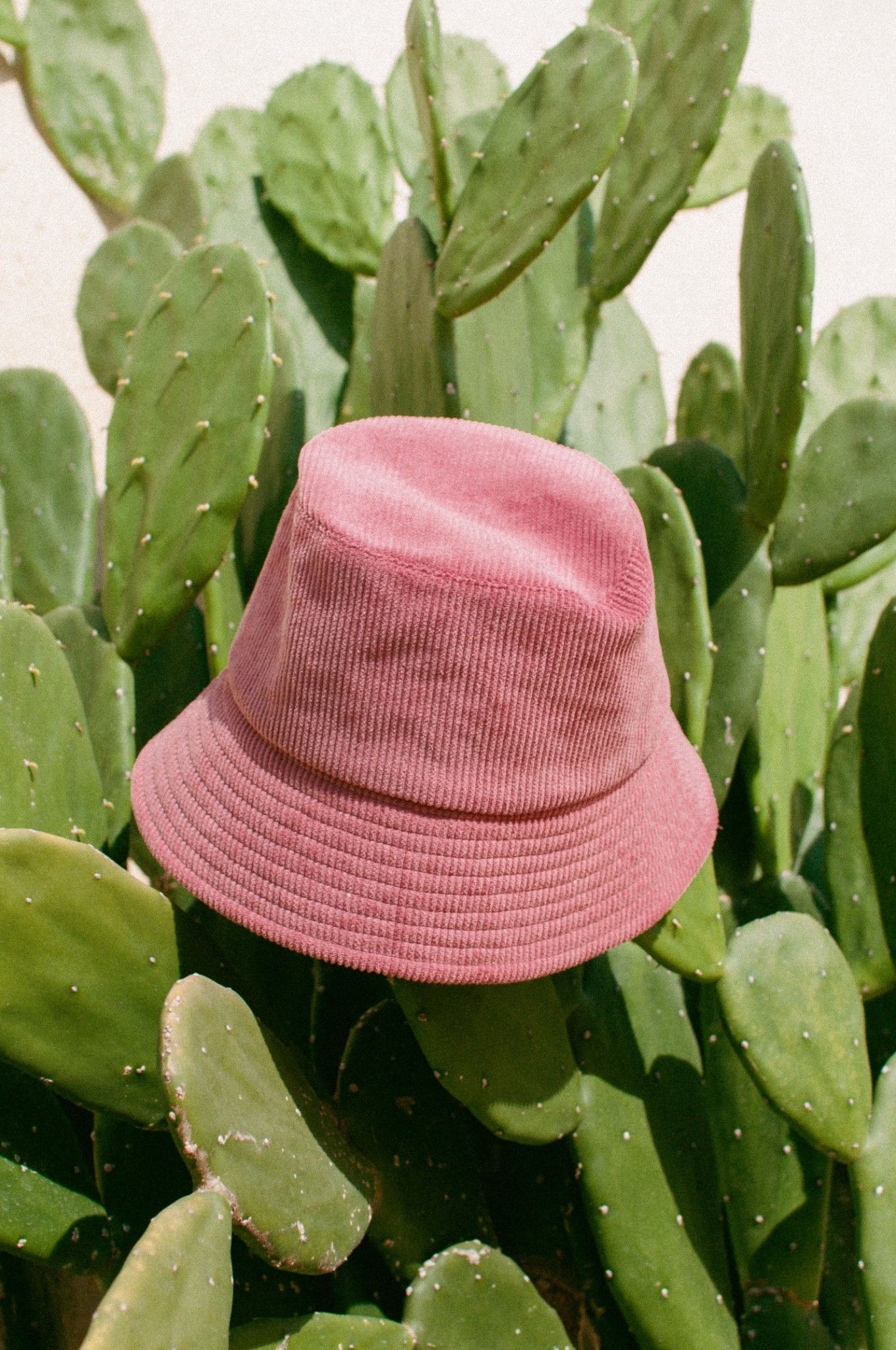 Pink Corduroy Hat