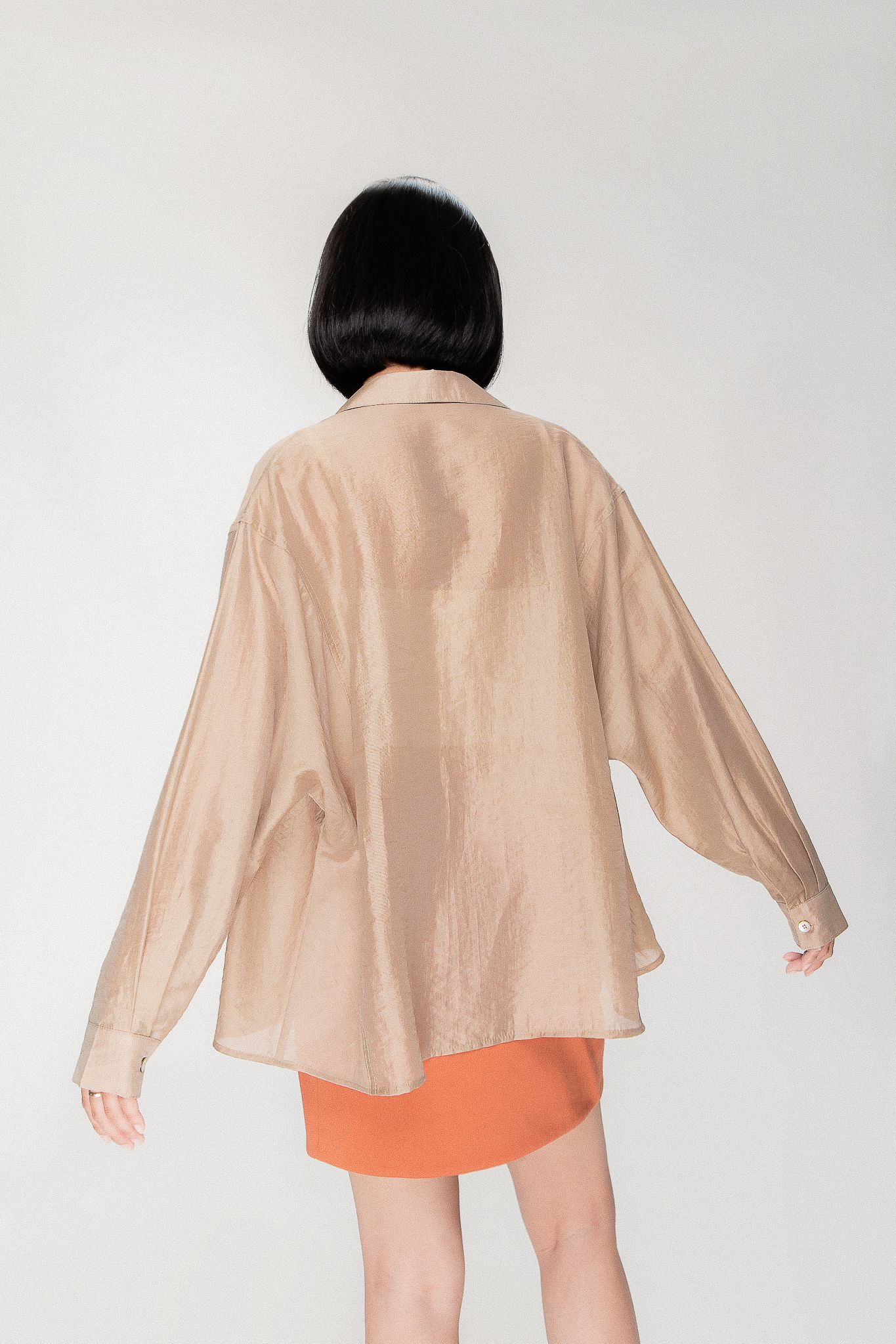  Brown Sheer Long Sleeve Shirt 