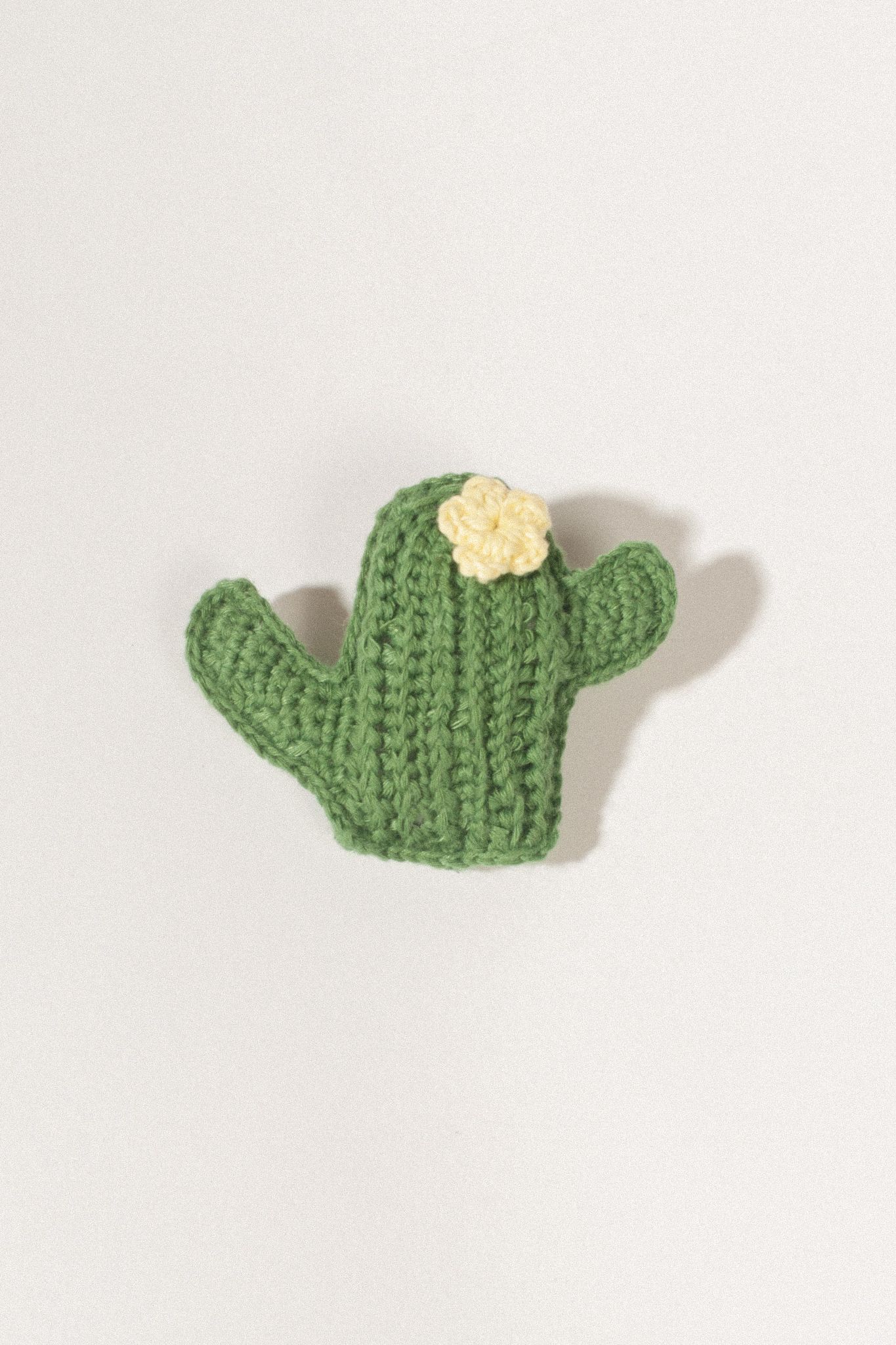 Cactus Crochet Pin
