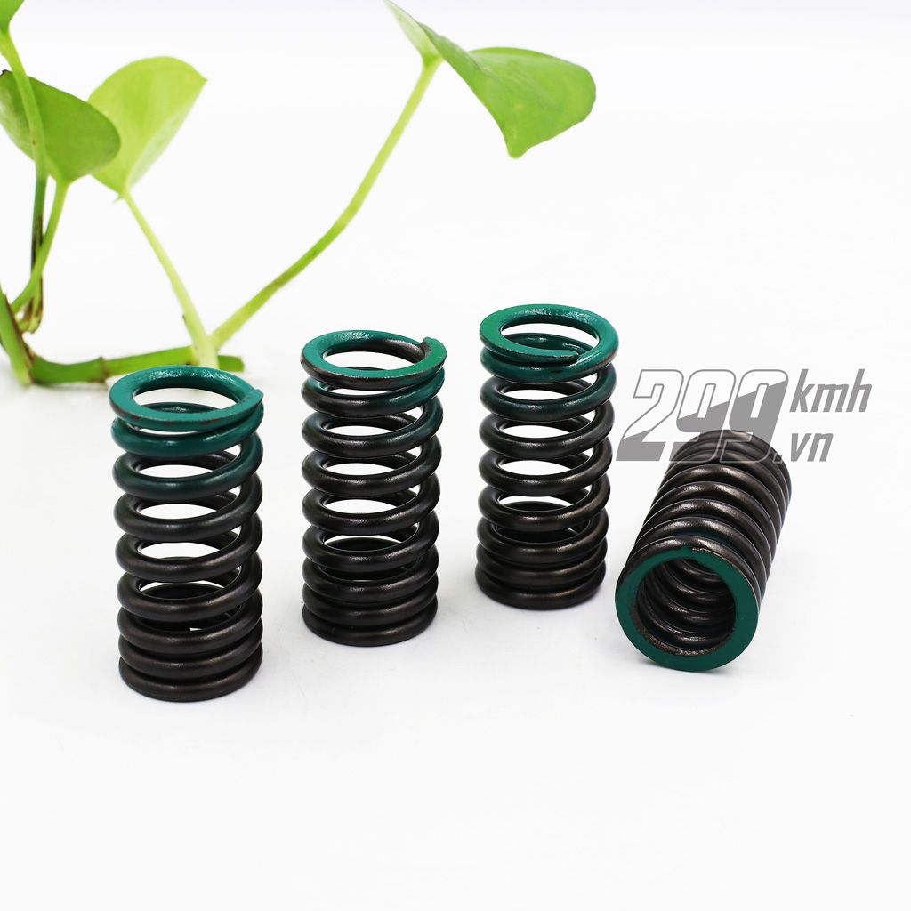 Bộ 4 lò xo supap (lò xo đầu) FXR dùng thay thế cho Suzuki Raider, Satria, GSX, Bandit