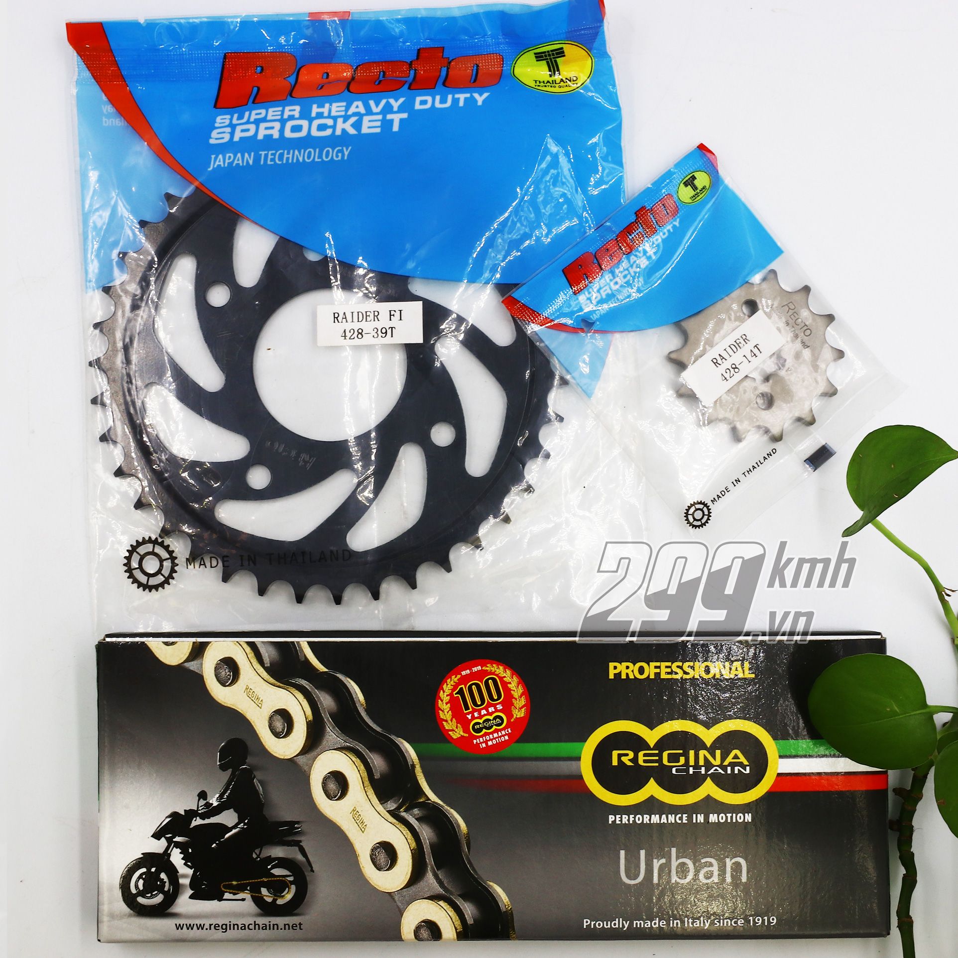 Trọn bộ nhông dĩa Recto và sên vàng không phốt Regina 428 124L- Made in Italy cho xe Raider Fi, Satria Fi