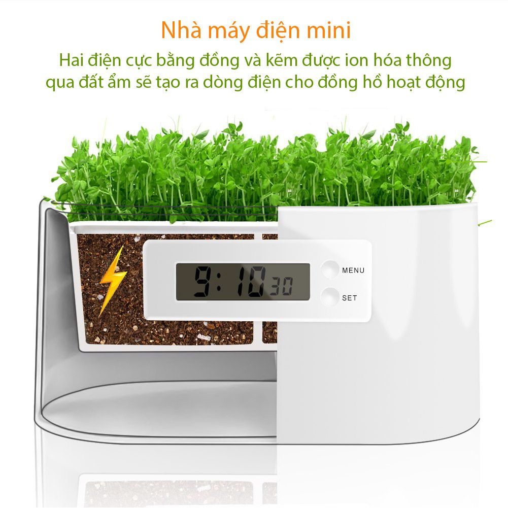 Bộ 3 chậu trồng cây thông minh tích hợp đồng hồ sinh học Legrow - Magical Plant Clock