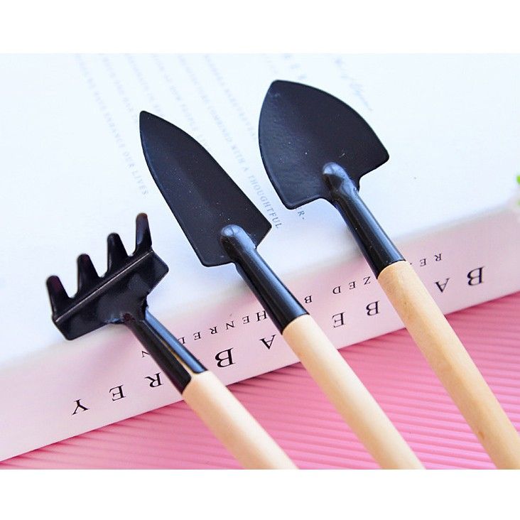 Bộ Trồng Cây Mini