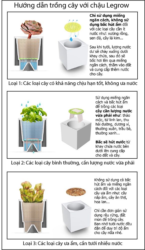 Chậu trồng cây thông minh tích hợp đèn Led Legrow - Sunshine Indoor