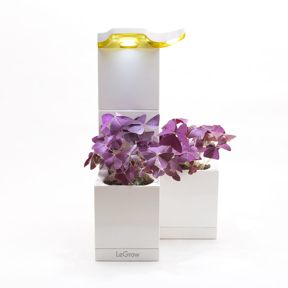 Chậu trồng cây thông minh tích hợp đèn Led Legrow - Sunshine Indoor