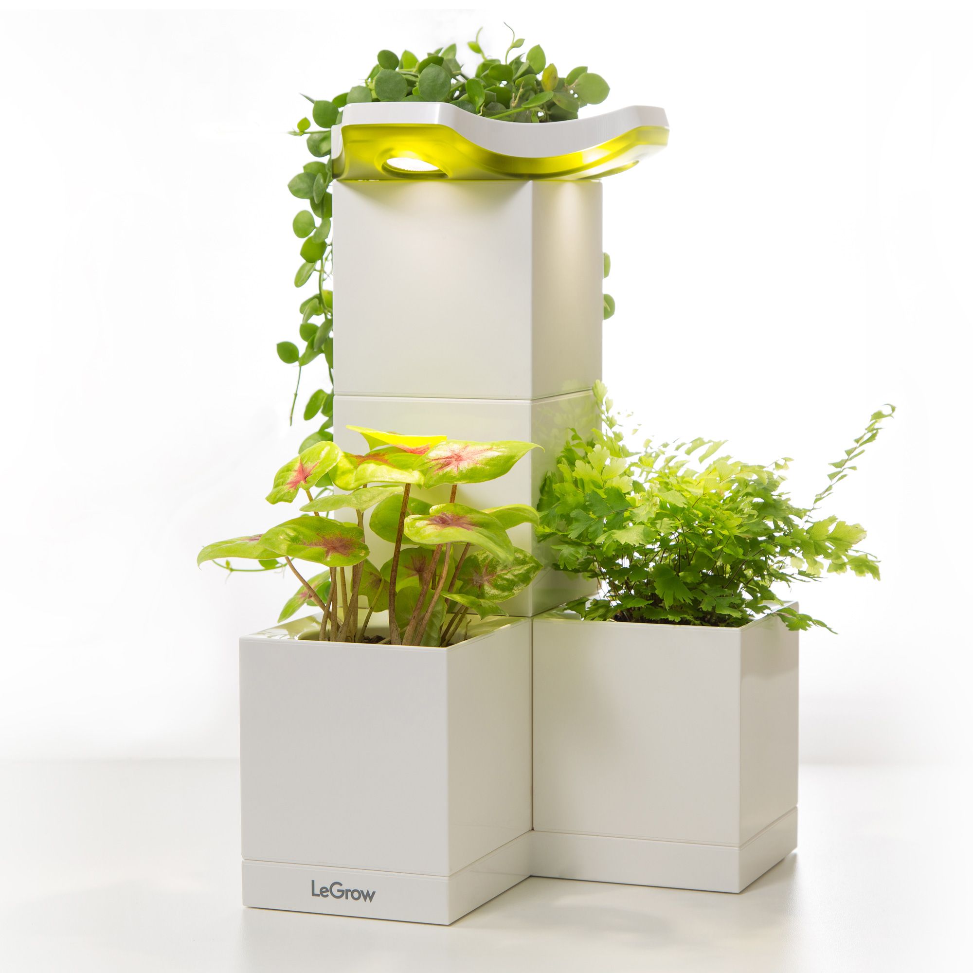 Chậu trồng cây thông minh tích hợp đèn Led Legrow - Sunshine Indoor